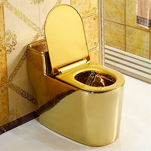DLAZUM Toilette per Bagni, WC Dorato, WC Monopezzo con Sedile Comfort, WC Dorato, WC Allungato (400 Mm 27X24X15 Pollici)