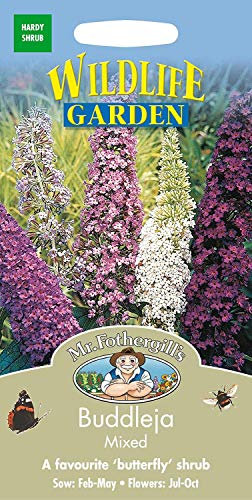 Potseed 1: semi misti Mr Fgills Buddleja