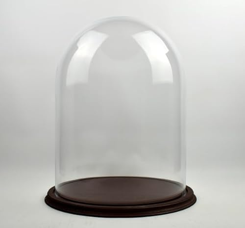 EMH Cupola circolare in vetro trasparente con base in legno marrone vintage, altezza: 40 x 30 cm