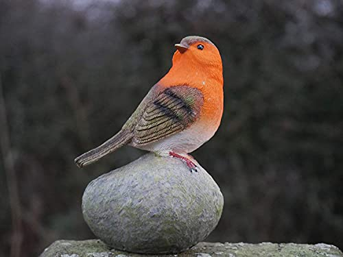 Marco Paul Robin Ornaments For Garden Decorations Weatherproof Redbreast Robin Garden Decorations Outdoor Hand Painted Detailed Bird Decorations For Indoors Uv Resistant And Durable Resin Figurine