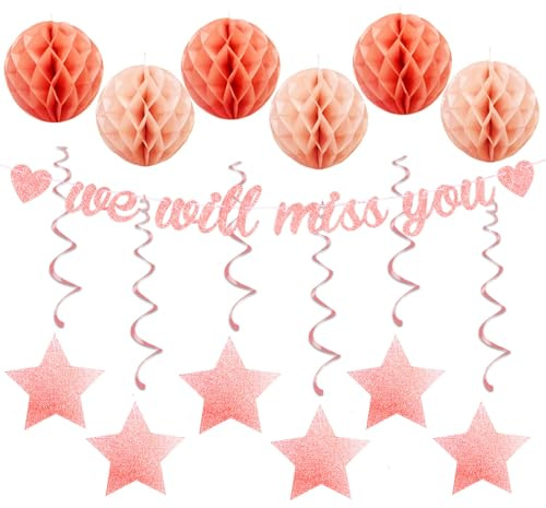 bng-bng We Will Miss You Banner Leaving Party Decorations with Ceiling Hanging Swirls Streamers Honeycombs for Retirement Graduation Going Away Farewell Good Luck Party Decorations Rose Gold