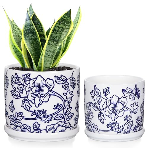 Hollyone Juego de 2 macetas de cerámica azul y blanco, macetas redondas de cerámica con agujeros de drenaje y posavasos, maceta pequeña retro para cactus suculentas, jardín al aire libre