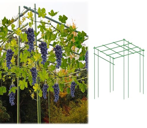 Generisch Gartenspalier, Große Weinreben-Spalier-Metallpfähle, Weinreben-Stützstangen, quadratische Gartenlaube, Kletterpergola für Pflanzen, Blumen- und Gurkenspalier für den Hinterhof (Farbe: L x B