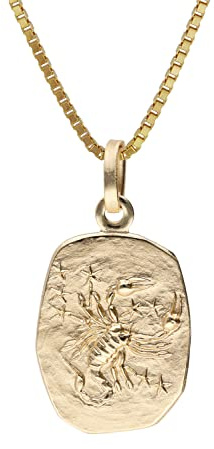 trendor Skorpion Sternzeichen Gold 333 mit vergoldeter Silberkette 15382-11 | klassischer Tierkreiszeichen Anhänger für Damen oder Herren, zeitloser Halsschmuck