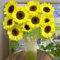 semillas de girasol perennes resistentes - Semillas de bonsái para camas elevadas de jardín semillas de girasol plantas de interior semillas plantas perennes resistentes Semillas de 150pcs