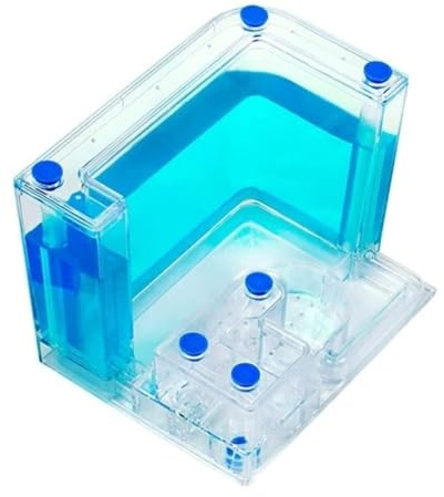 AZHKJKZH Errario De Hormigas Castillo De Hormiga Acrílico Transparente, Ciencia Interactiva, Nido, Gel, Granja Hormigas Escritorio Hormiguero