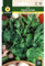 Mascarell Semillas, PEREJIL, Semillas Huerto, PEREJIL GIGANTE DE ITALIA, Crea tu Propio Huerto Urbano y Cultivo en Casa, Plantas Hortícolas, 15 Gramos