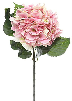 FloristryWarehouse Vástago de hortensia artificial gigante 60 cm, color rosa