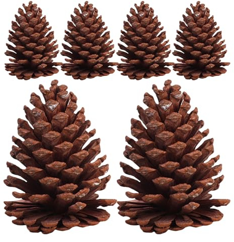 Angoily 6Pcs Natural Real Pine Cone Decoration Set, Dried Pine Balls for Christmas Tree Ornaments, Holiday Photo Props and Rustic Seasonal Home Decor