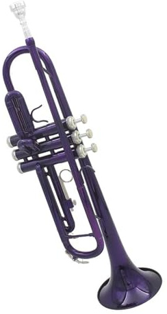 Professionelles Musikinstrument Trompete Lila Trompete Messing Standard Bb Trompete Set Für Anfänger Mit Hartschalenkoffer Handschuhe 7C Mundstück Teile Zubehör