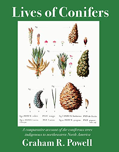 Lives of Conifers: A Comparative Account of the Coniferous Trees Indigenous to Northeastern North America