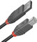 LINDY 0.2MUSB2.0 TYPEA OBCABLE,ANTHRALINE