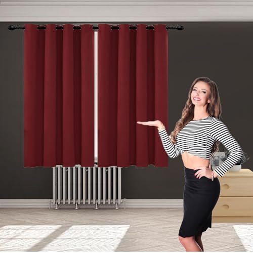 GOUSUN Velvet Curtains 120 x 105 cm Cold Protection Curtain Door Curtain Curtains Privacy Screen for Bedroom,1 Panels, Red