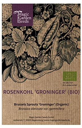 Rosenkohl 'Groninger' (Brassica oleracea) 200 Samen Sprossenkohl Brüsseler Kohl Kohlsprossen