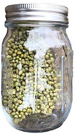 Zkydhbd Pot de germination avec couvercle en acier inoxydable à ouverture large