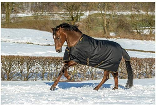 Bucas Winterdecke Extra 300g Füllung Irish Turnout Black/Gold 120cm + Hufkratzer Reiterladen24.de