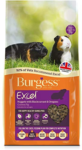 Excel Burgess Guinea Pig Nuggets Blackcurrant and Oregano, 10 kg