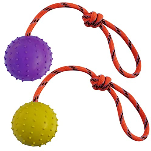 MMSGA Palla per Cane Con Corda - Addestramento Cani e Catti, Cava in Gomma Naturale Per Catturare