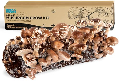Back to the Roots Organic Shiitake Mushroom Kit; Great Gift; Easy for Beginners, For Indoor Growing (Start Growing Right Away)
