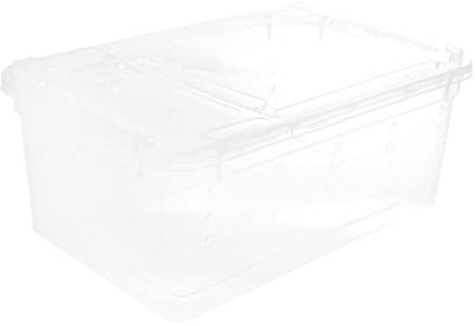 Yardwe Insekten Box Spinnen Box Fütterungsbox Reptilienzuchtbox Transparent Kunststoff Leicht Kompakt Mit Atemloch Für Kleintiere Frösche Schildkröten