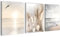 Novart Wandbilder Set Strand Meer Boho - KOMPLETT AUFHÄNGFERTIG - Wohnzimmer Schlafzimmer Flur Deko - 3 Moderne Bilder Beige - N029435a