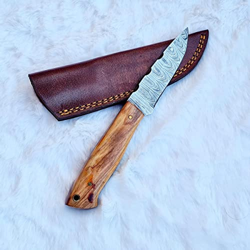 CRAFTOMATIK Damast Stahl Messer | Original Robuste Damaststahlklinge | Griff aus Walnussholz | Handmade Outdoor Sammlermesser | DHK84