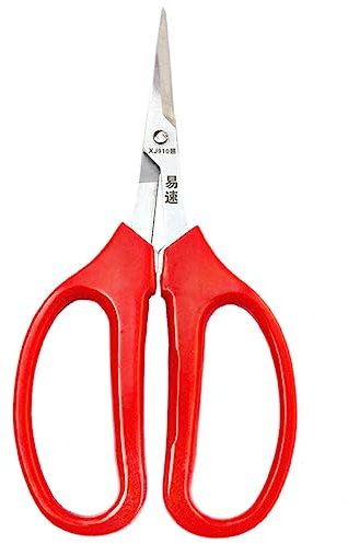 TOYANDONA 2 Piezas Tijeras de frutas y verduras suministros de jardinería herramienta de flores herramientas tenedor de jardín herramienta de arreglo floral Acero inoxidable