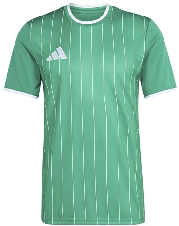 adidas Herren Entrada26 Graphic Jersey Shirt, Team Green/White, M