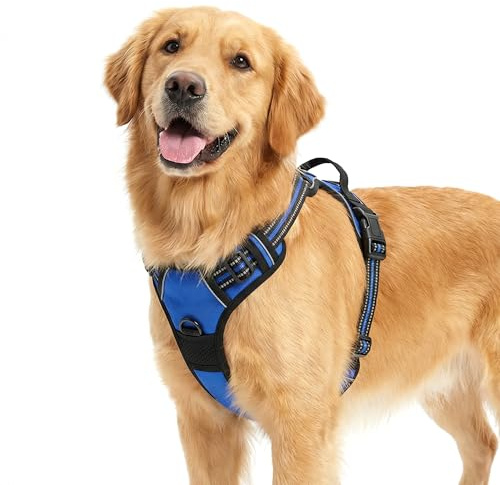 Funfox Dog Harness Large Dog, 2 Clips No Pull Vest Harness Handle Control, Adjustable Pet Harness with Reflective Strips Outdoor Traction Specialized Chest Harness Safe Walking Dog, Blue, L