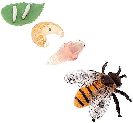 iplusmile Modèle Miniature De Croissance D’Abeille Éducatif pour Garçon Et Filles, Kit 4 Pièces en Plastique, Figurines Réalistes Cycle De Vie, Apprentissage Scientifique Et Jeu Pédagogique