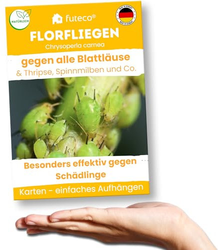 Futeco® – Florfliegenlarven gegen Blattläuse, Spinnmilben, Thripse & Co. - Karten zum einfachen Aufhängen - 1 Karte für 1-2 Pflanzen - starke Wirkung bei Gemüse-, Zier- & weiteren Pflanzen