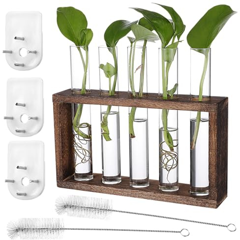 ANDRESLAD Wooden Propagation Station with Glass Test Tubes and Cleaning Brushes Wall Hanging Plant Terrarium Rack for Pothos Violets Bamboo Cuttings Modern Plant Display for Home and Office