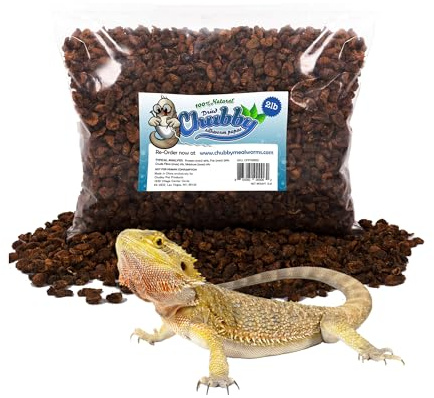 Chubby Dried Silkworm Pupae | 2 lbs | High-Protein Treat for Koi, Fish, Reptiles & Terrapins – Nutrient-Rich Calcium Snack