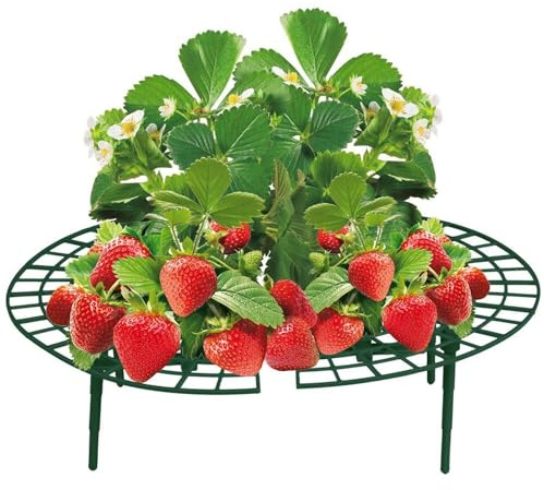 BURI Erdbeerreifer 5er Set Schneckenschutz Rankhilfe Erdbeerhalter Pflanzen | BURI, 30x9 cm, Kunststoff, Pflanzenstütze, Erdbeerschutz, Schneckenkragen, Gartenzubehör, wiederverwendbar, robust