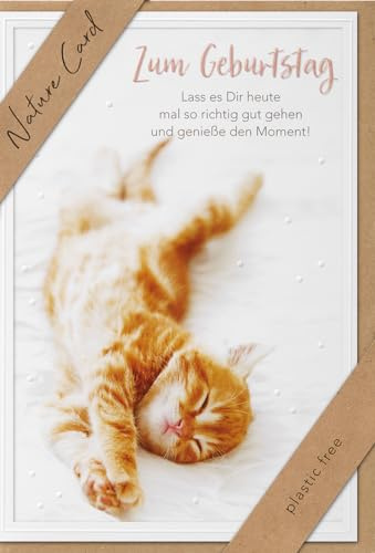 bsb - Karte zum Geburtstag - Nature Card - Nachhaltige Karten zum Geburtstag - Geburtstagskarten mit Umschlag - Geburtstagskarte Frauen & Männer - Glückwunschkarte 11,5 x 17 cm - Katzen Motiv