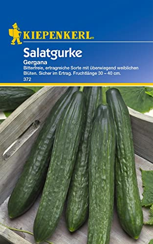 Kiepenkerl 0372 Salatgurke Gergana, Portionssaatgut, bitterfrei ertragreich mit überwiegend weiblichen Blüten