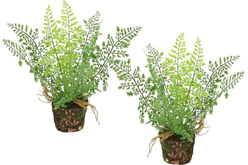 Künstlicher Waldfarn im Topf 23cm 2er Set Boston Farn Topfpflanze Büsche Pflanzen Blumen wie echt Deko Seidenpflanze Dekoration Grünpflanze Kunstpflanze Kunstblume Waldpflanze Zimmerpflanze, Farn