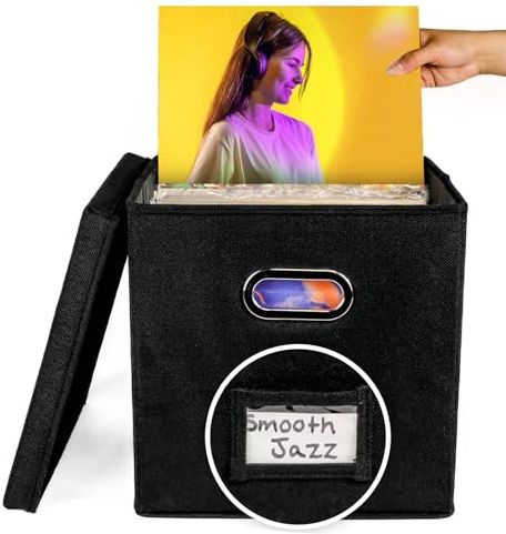 Generisch Scatola di memorizzazione in vinile – Supporto per album portatile, robusta custodia per organizzatore | contenitore di protezione con manico e coperchio per record -LP da 12 pollici