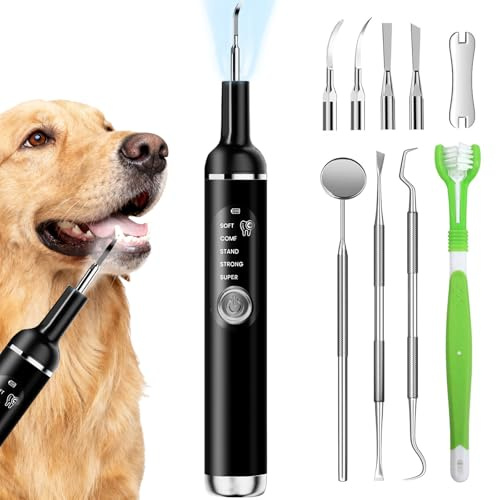 Bibykivn Zahnsteinentferner Hund, Ultraschall Zahnreiniger für Hund | Schwarz, mit LED-Licht, 5 Reinigungsmodi, 4 Reinigungsköpfe, Hundezahnreinigungsset