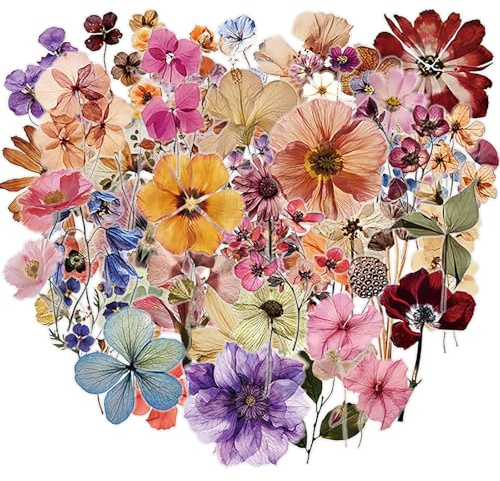 50 Stück Vintage-Blumen Sticker Set | Ästhetische Getrocknete Blumen Sticker für Bullet Journal, Scrapbook, Laptop, Kindle & Mehr | Wasserdichte Transparente PET Aufkleber