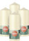 Bolsius - Lot de 4 bougies pilier - Ivoire - 15 x 6 cm - Longue durée de combustion de 42 heures - Sans parfum - Cire végétalienne 5% naturelle - Sans huile de palme