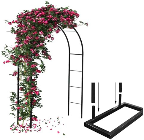 Arche de jardin en métal pour roses – 100-200 cm Treillis de mariage avec base support pour plantes grimpantes, tonnelle décorative pour fêtes et pelouse (l x H : 280 x 250 cm)
