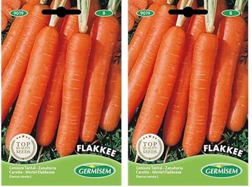 Germisem Flakkee Semi di Carota 10 g (Confezione da 2)