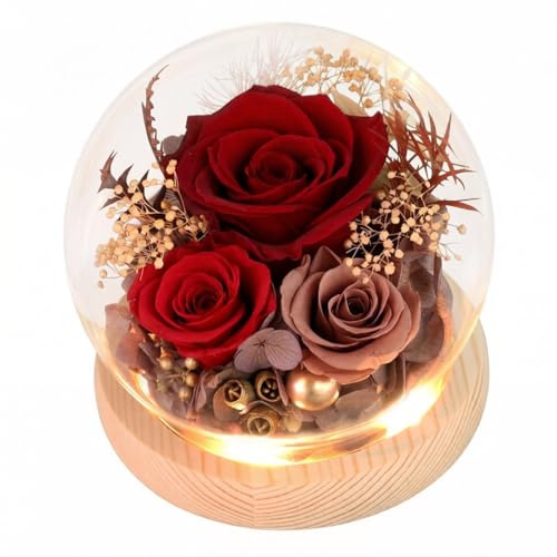 ZJYIGOWL Bouquet di Rose in Campana di Vetro per Decorazione Fiori Stabilizzati in Campana di Vetro Rosa Illuminata, Regali per La Festa della Mamma, per La Mamma, La Moglie(Red)