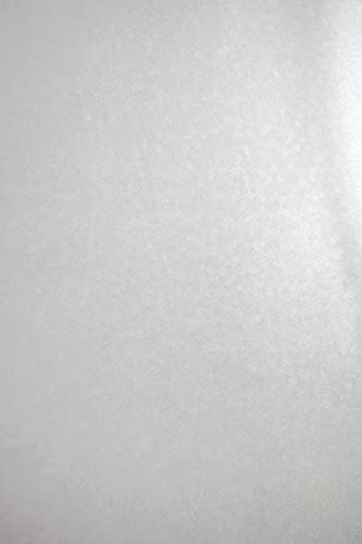 Netuno 20 hojas de cartulina nacarada color blanco A4 210 x 297 mm 250 g Aster Metallic Sequins con motivo circular papel perlado doble cara para invitaciones boda tarjeta de felicitación menú vales