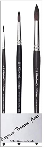 Pinceau Raphael SOFTAQUA.SÉRIE 845 Vegans. N° 4 .10. 18. Set 3PCS (Raphael France)