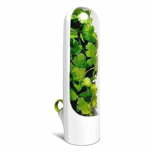 CHEFZOCO Cápsula de conservación de hierbas frescas para frigorífico, Recipiente conservador de hierbas, 25 cm longitud, Apto para menta, perejil, cebollino, romero, orégano, tomillo, eneldo