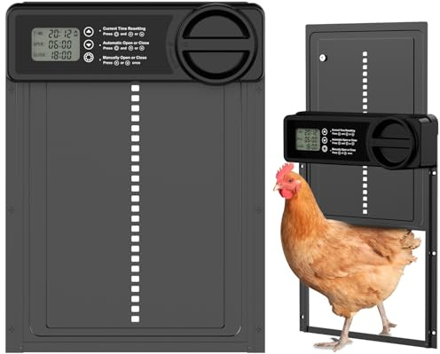 Budsom Porta automatica per pollaio, alimentata a batteria, con timer intelligente, sensore anti-pizzicamento, display LCD e promemoria batteria scarica per galline, anatre, oche pollame