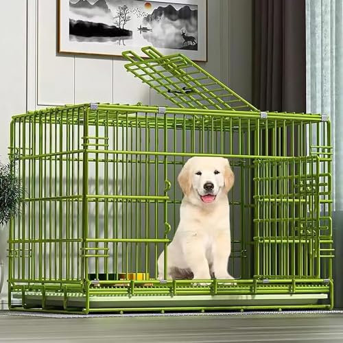 Robuster Hundekäfig für mittelgroße und große Hunde, mit Zwei abnehmbaren Türen und faltbaren Hundezwingern für drinnen und draußen (61 x 43 x 53 cm)