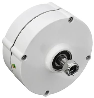 Motor de turbina aerogeneradora de 6000W, 12V, 24V, alternador de CA de imán permanente sin engranajes trifásico for turbina eólica y agua Para el hogar, la granja, los vehículos recreativo(12V)